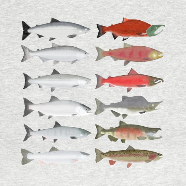 Pacific Ocean Salmon - Ocean and Spawn Stages by FishFolkArt